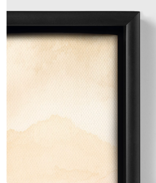 Cat Multicolor Framed canvas